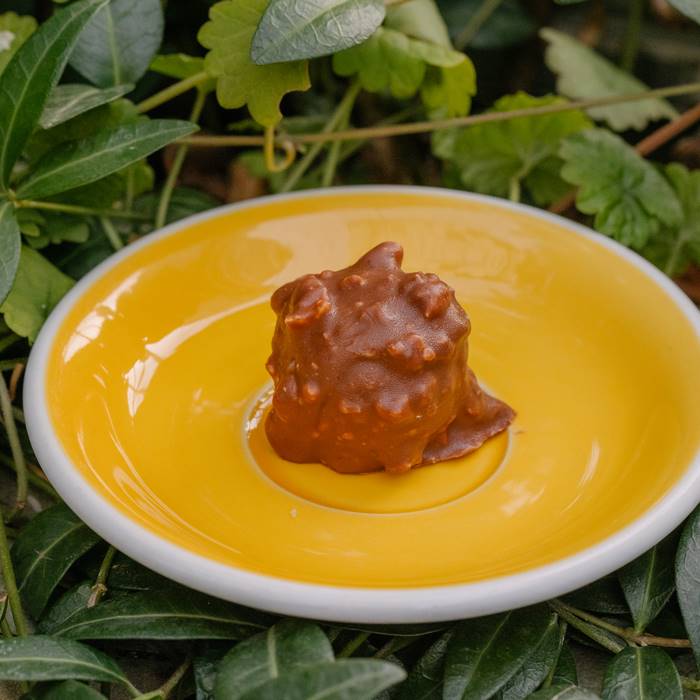 Конфета Роше