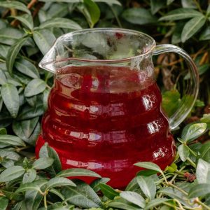 Смородина Саган-Дайля