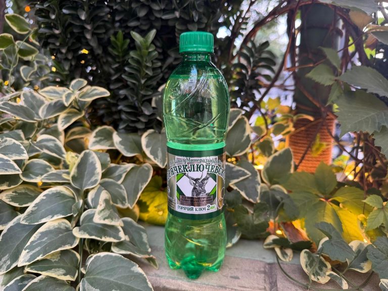 Вода Горячий ключ газ 0,5 Н