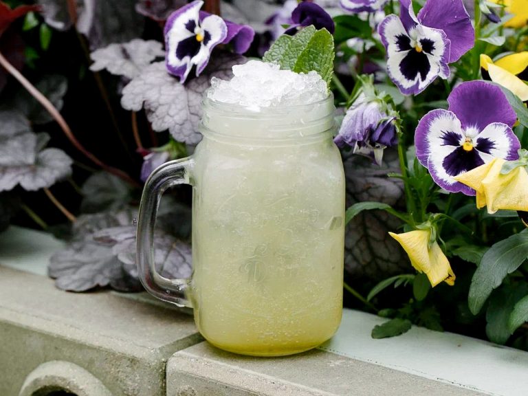 Лимонад Тархун Н