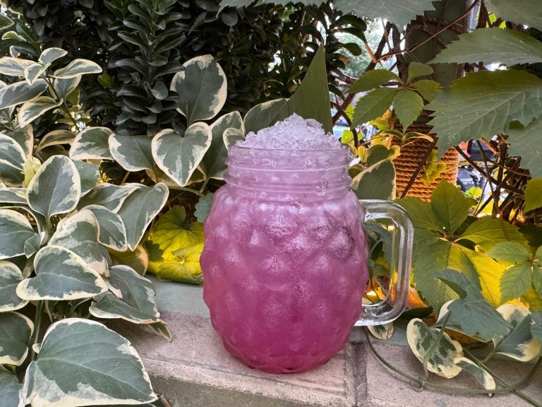 Лимонад Розовый алоэ Н