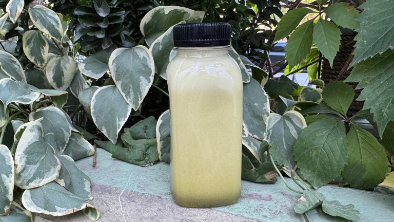 Фреш Сельдерей Н